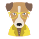 Hipster - Dog