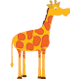 Jungle - Giraffe