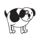 Pets - Black - White Dog